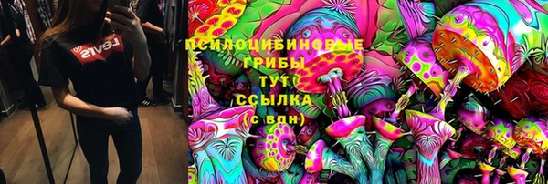 apvp Дубна