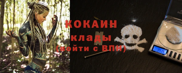 дживик Аркадак