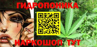стафф Дубна