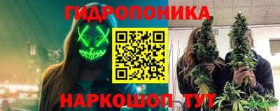 стафф Дубна
